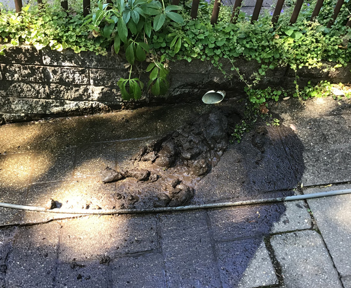 Drain Cleaning at Pipe Scan Albury Wodonga
